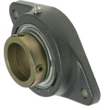  RCJTZ50  2018 Flange Block Bearings