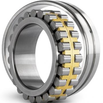 NNCL4880 V ISO Cylindrical Roller Bearing Original