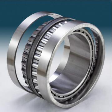 NF19/600 CX Cylindrical Roller Bearing Original