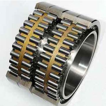 NF19/630 CX Cylindrical Roller Bearing Original