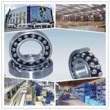 TSF 08 BB ISB Self-Aligning Ball Bearings 10 Solutions